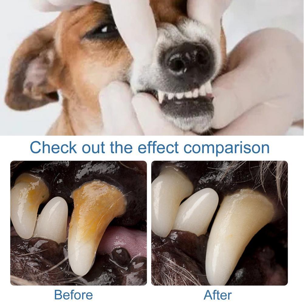 60ml Pet Oral Care Köpekler ve - Teeth Whitening Foam incelemesi ve fiyatı